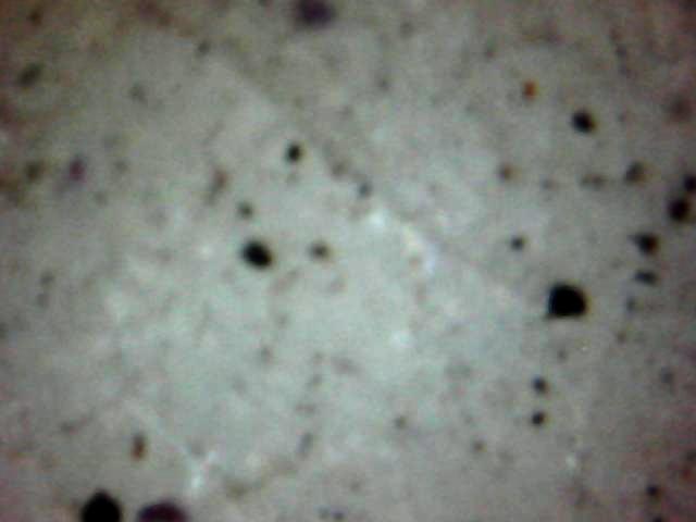 粉彩黑地开光鹰兽堆塑四角花口赏瓶 第 7 张图片